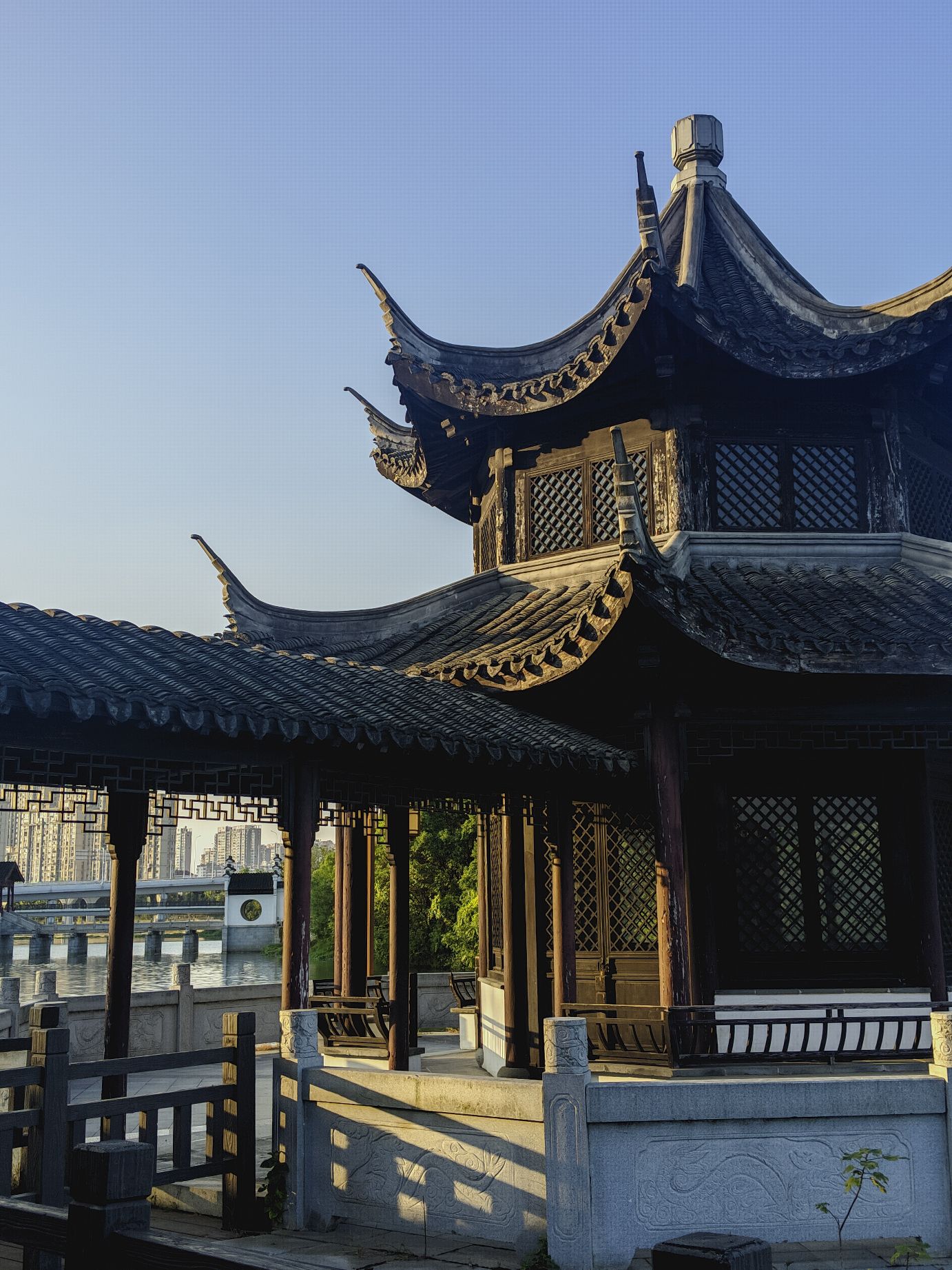 花博园(暂停开放)旅行图片 1