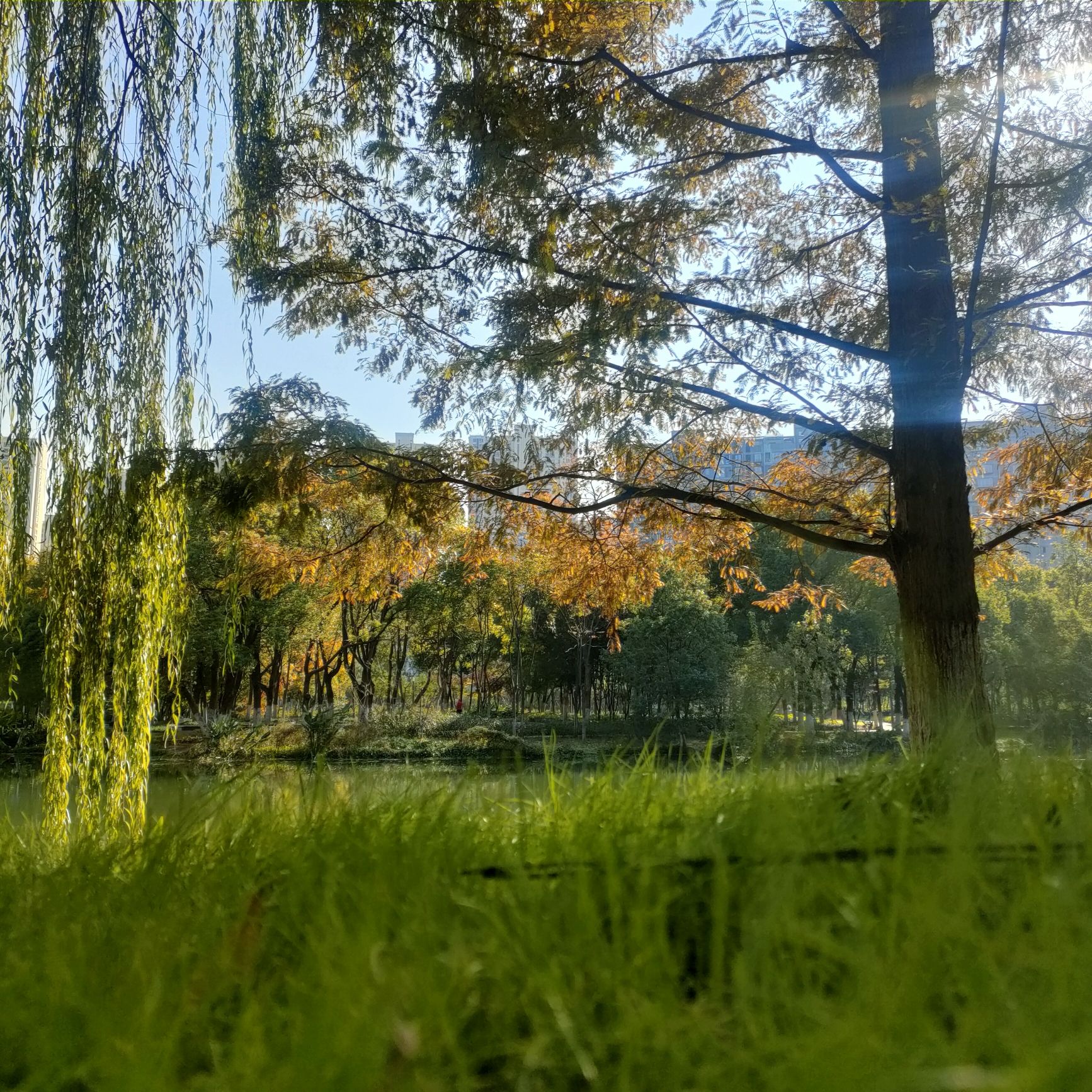 半岛公园旅行图片 3