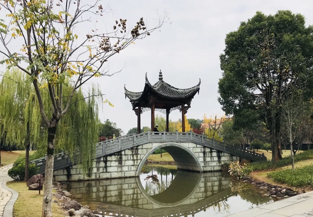 武川公园旅行图片 2