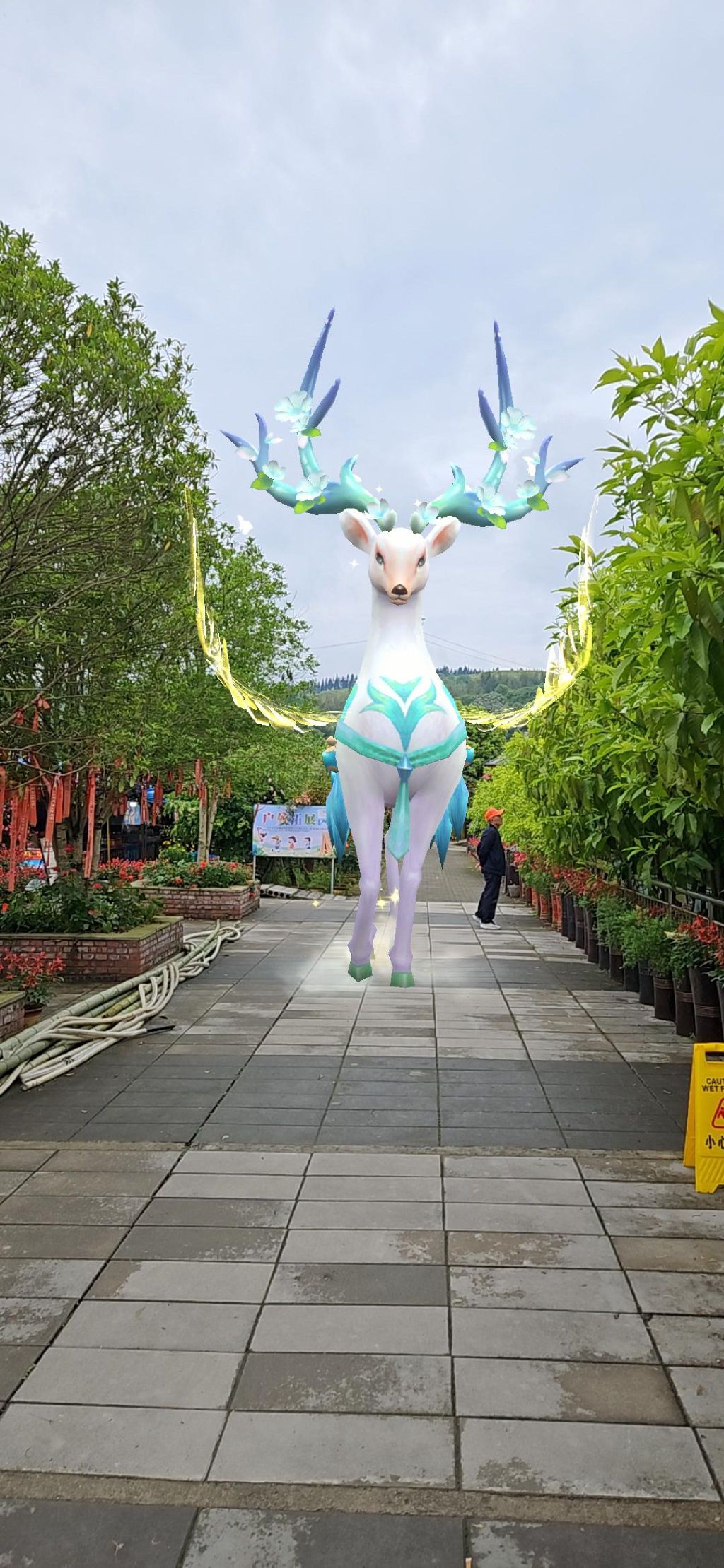 七朵玫瑰园旅行图片 1