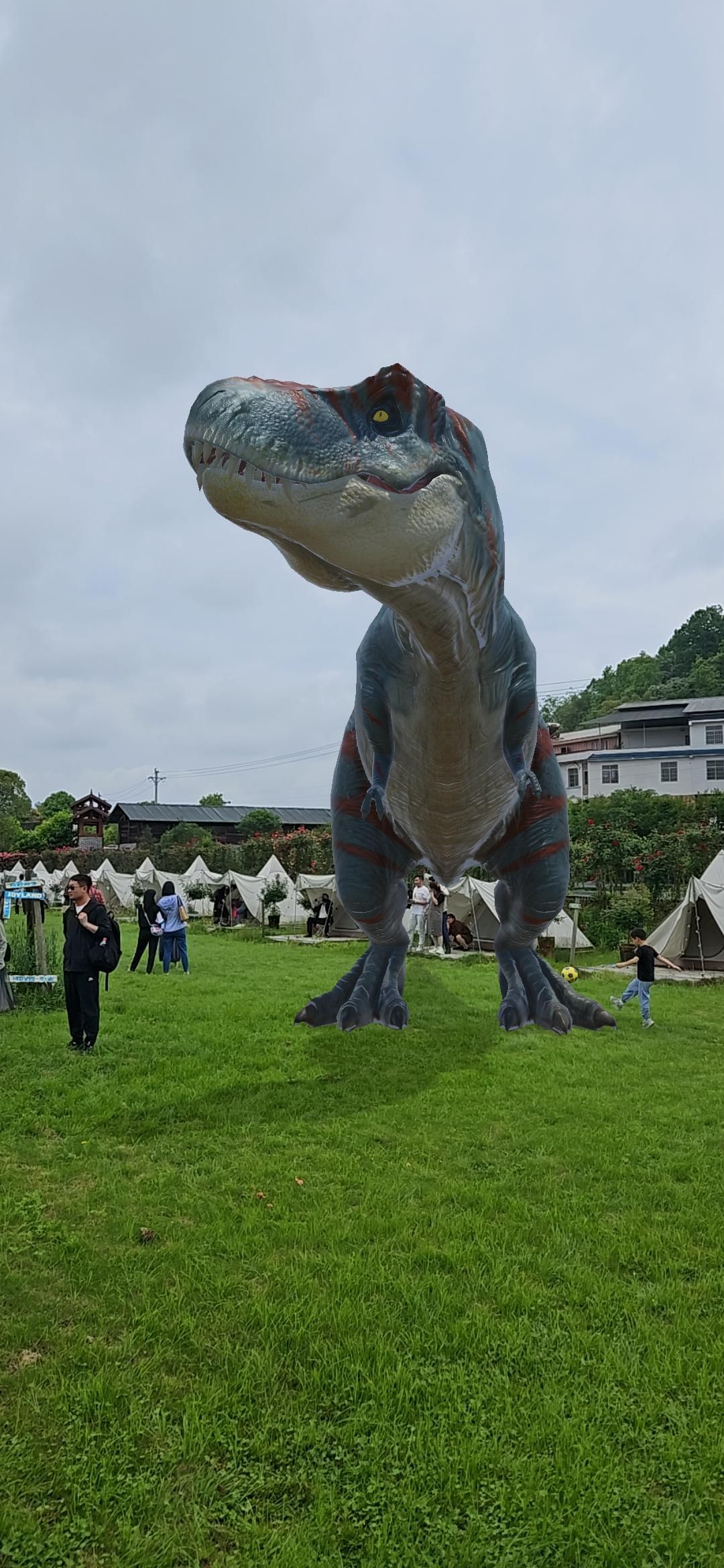 七朵玫瑰园旅行图片 2