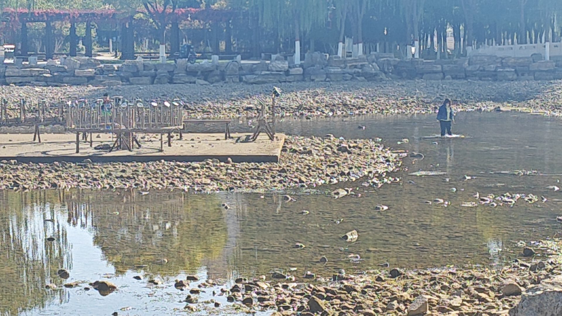 乌海4号公园旅行图片 1