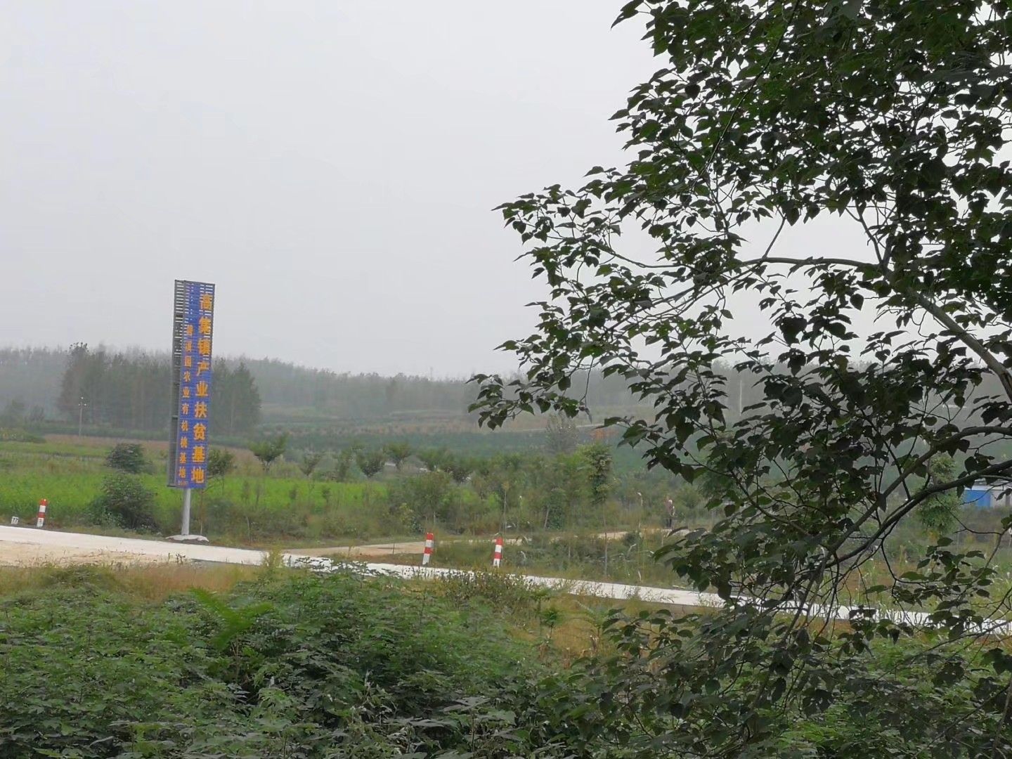 青丘十里桃林旅行图片 1