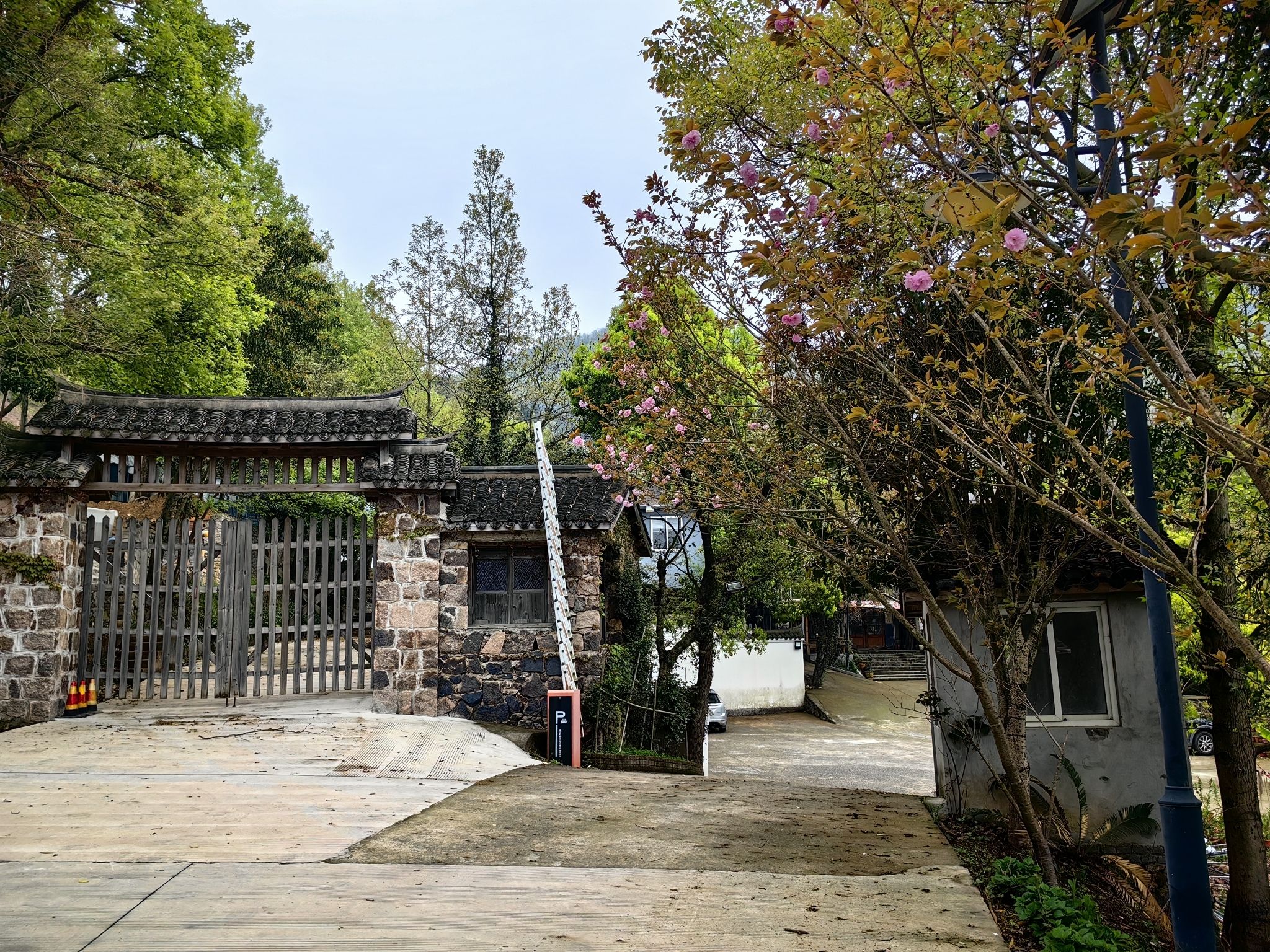 舟山万花谷旅行图片 3