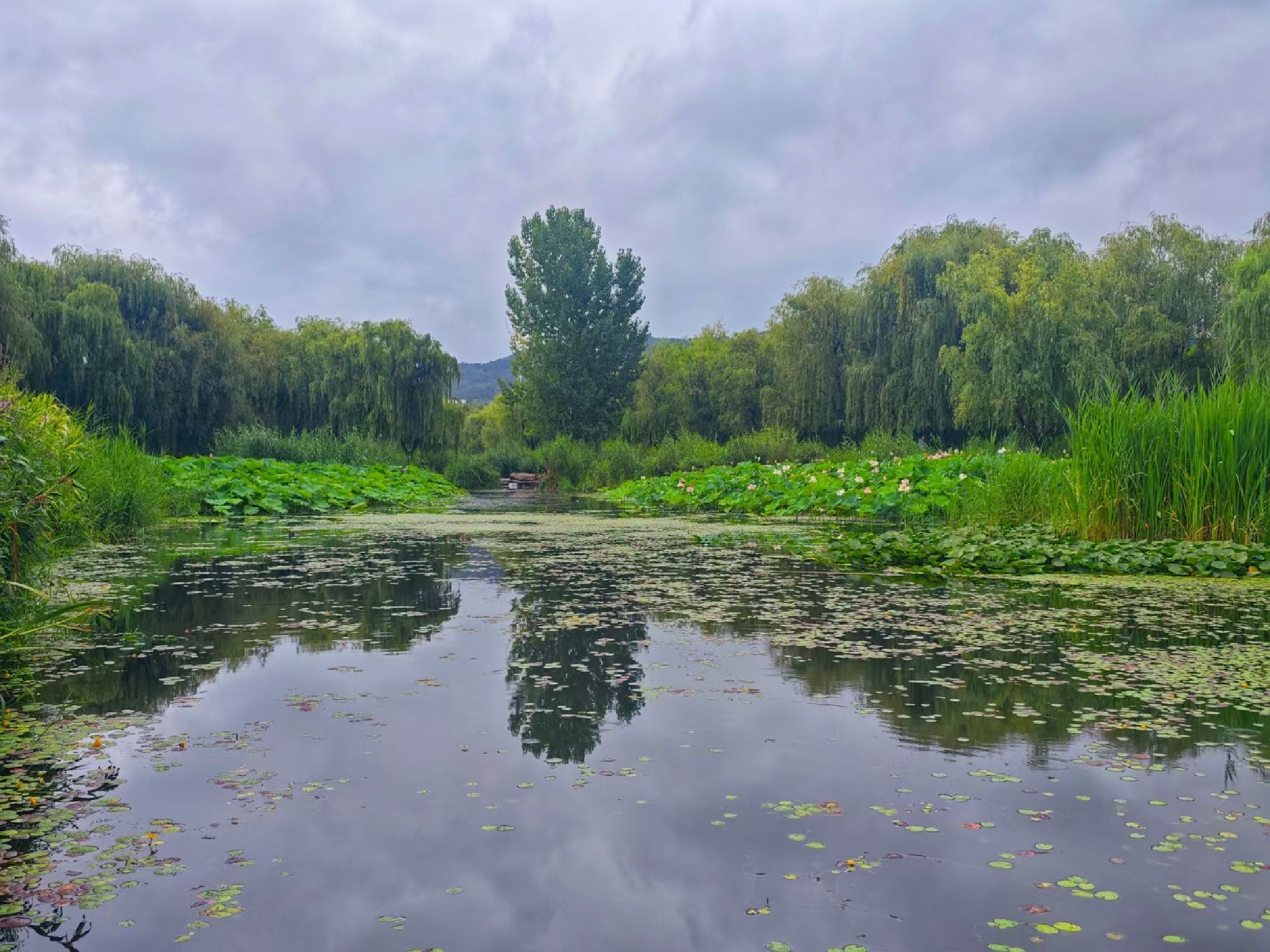 中心湿地旅行图片 1