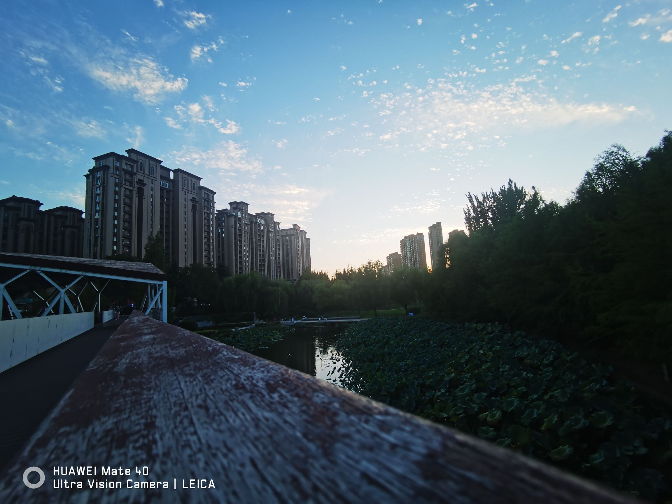 中心湿地旅行图片 1
