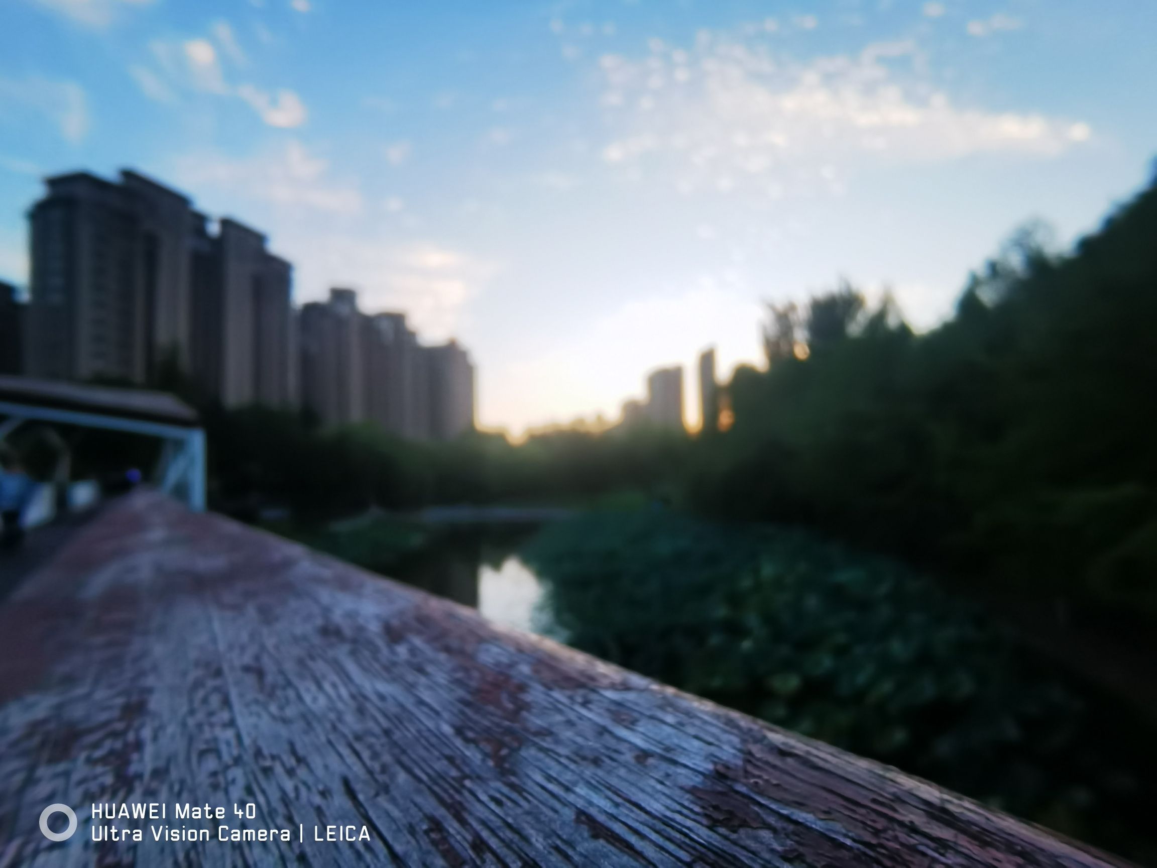 中心湿地旅行图片 3