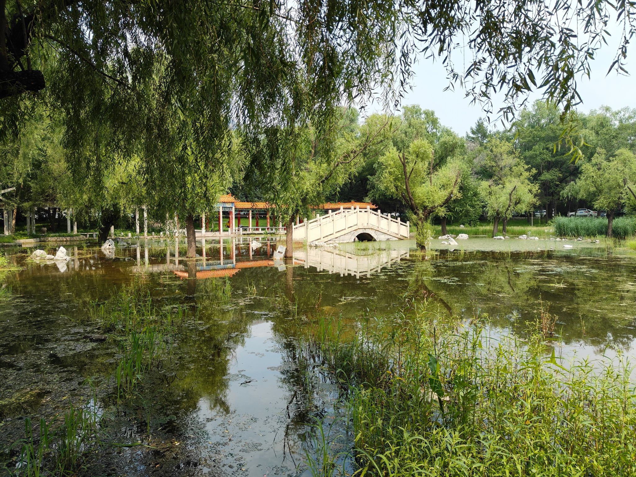 园中园旅行图片 2