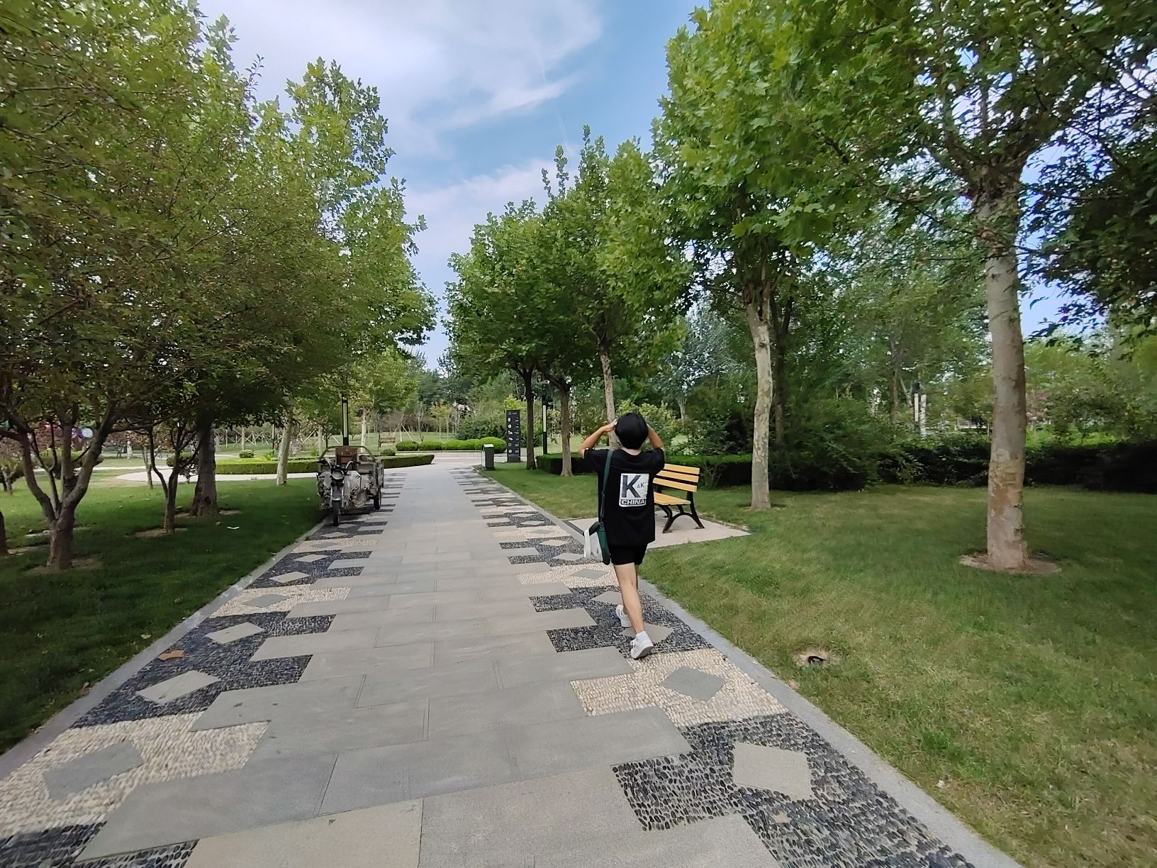 博兴人民公园旅行图片 3
