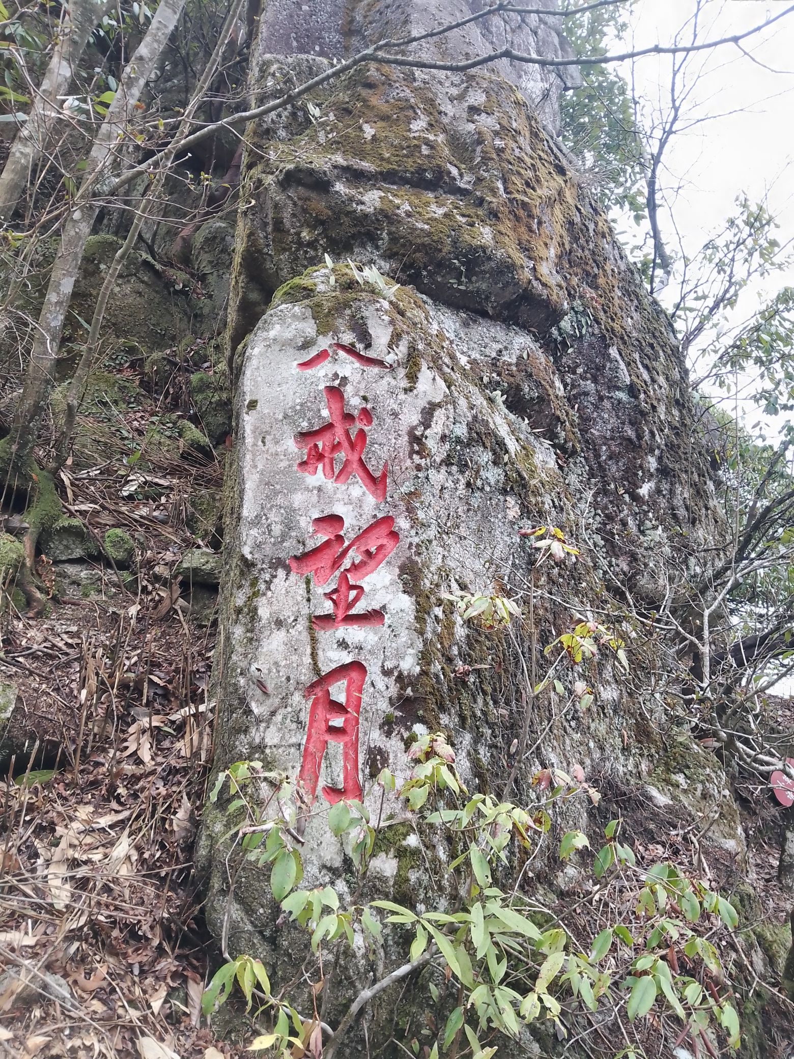 八戒望月