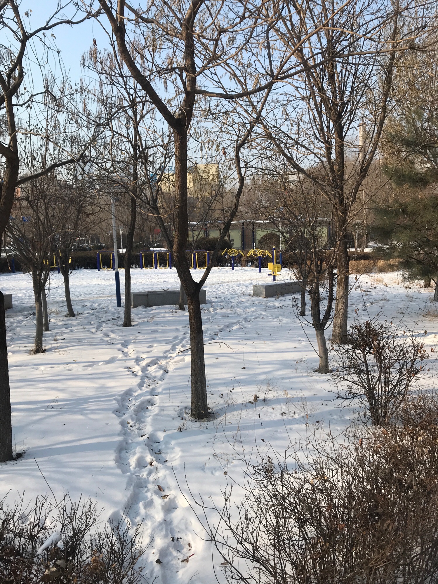 黎明广场旅行图片 3