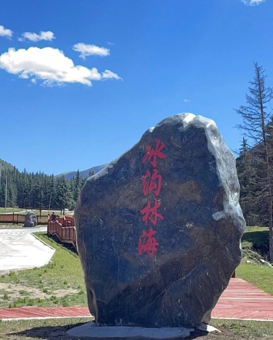 冰沟林海