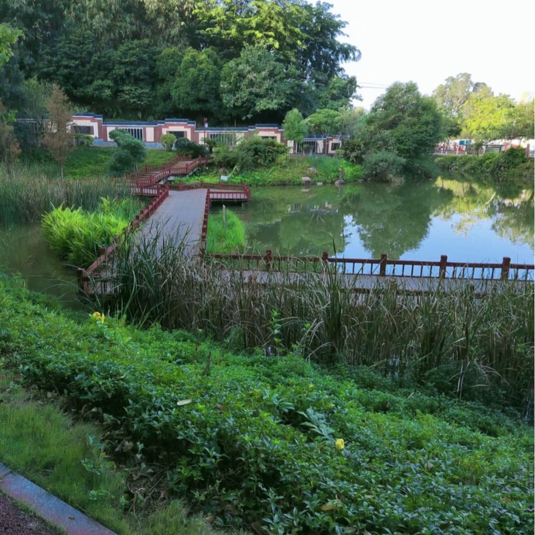 芝山公园旅行图片 2