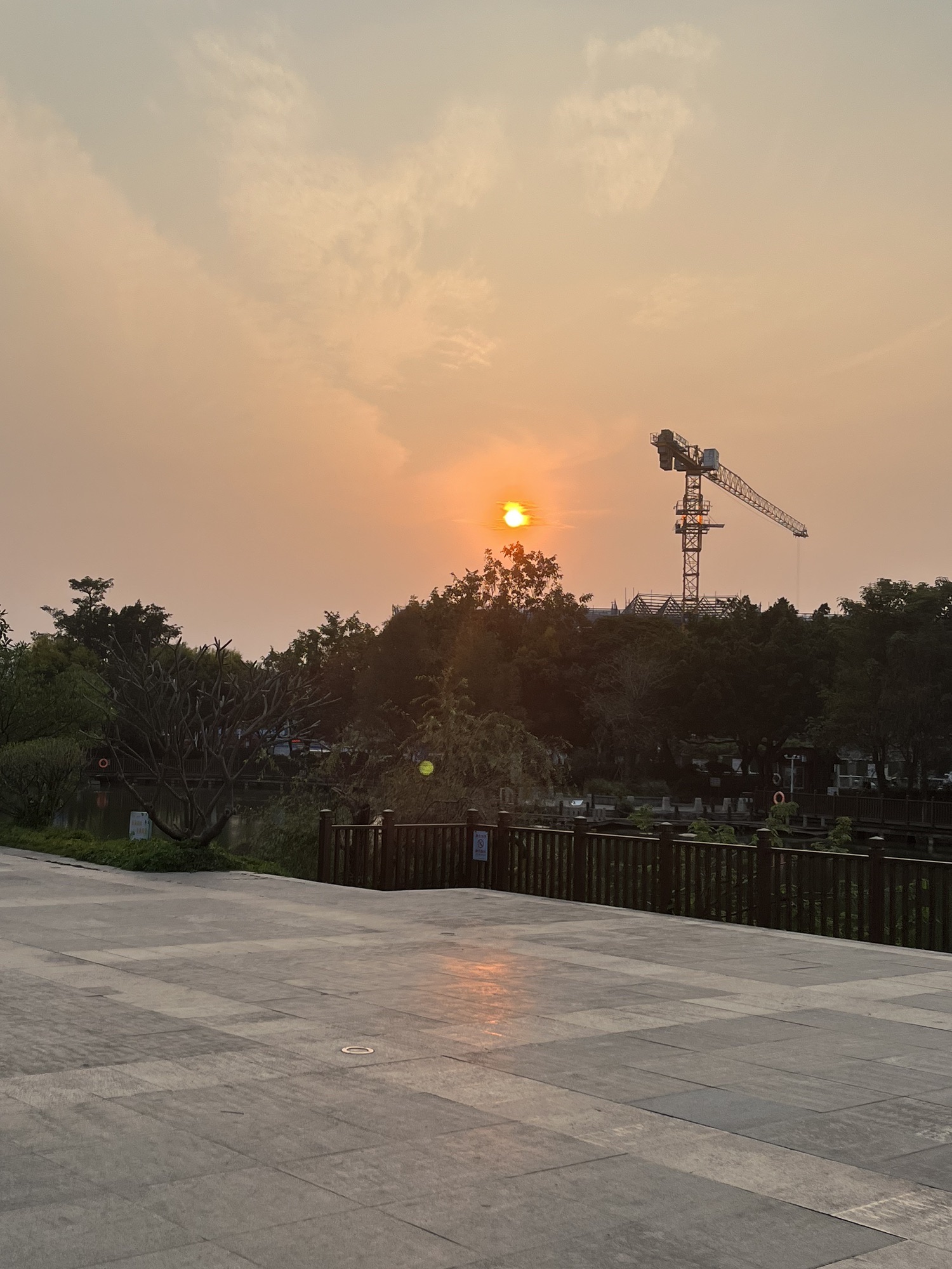 芝山公园旅行图片 3