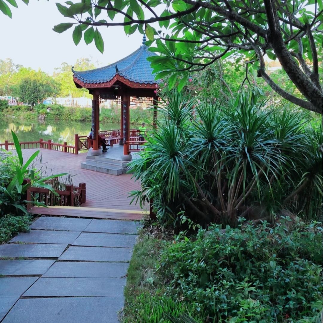 芝山公园旅行图片 1