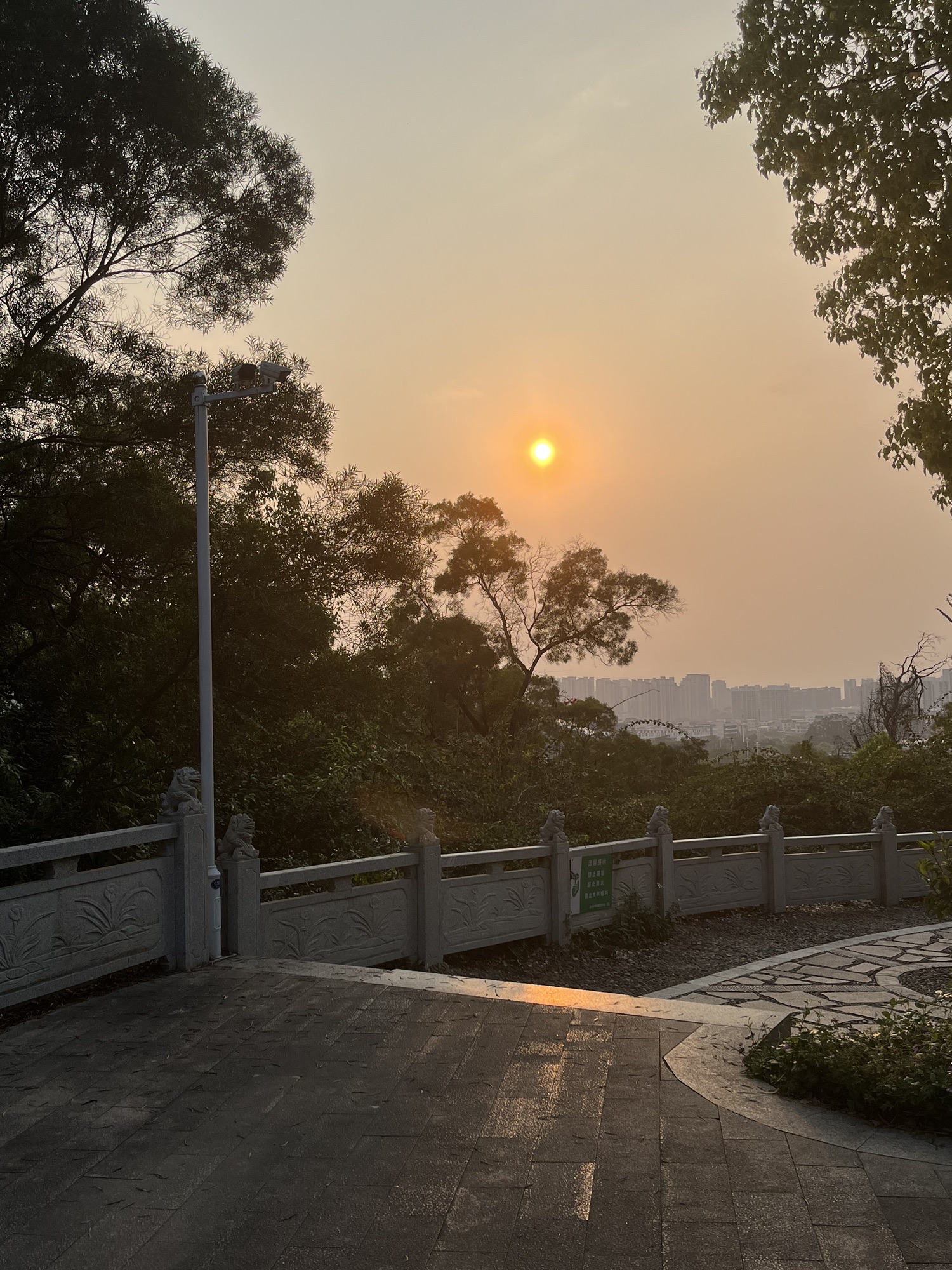 芝山公园旅行图片 2