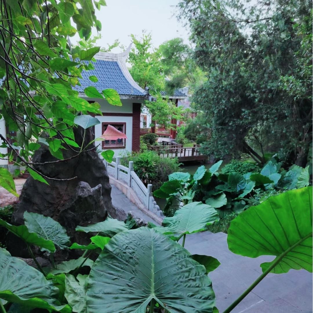 芝山公园旅行图片 3