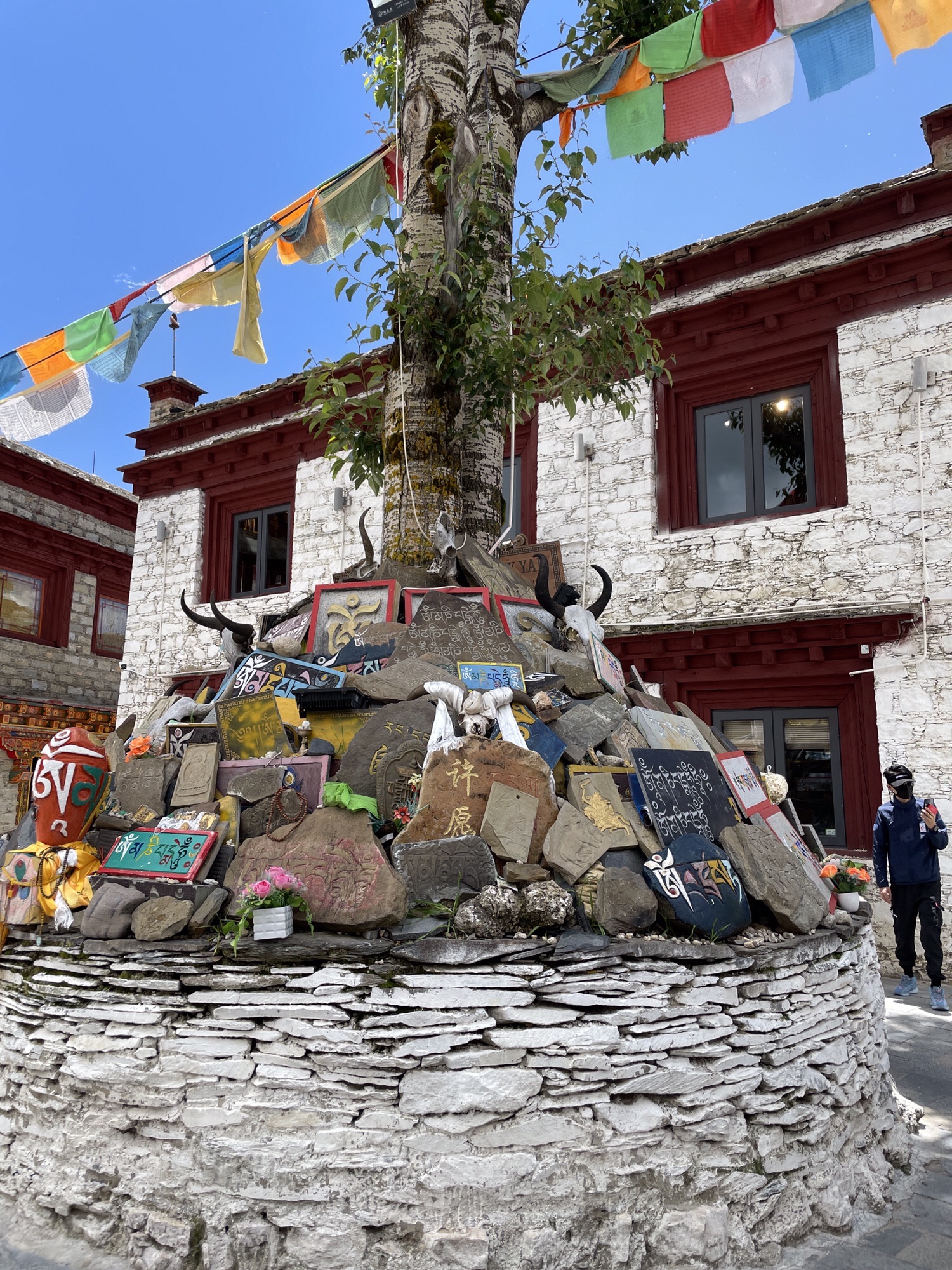 理塘东城门旅行图片 2