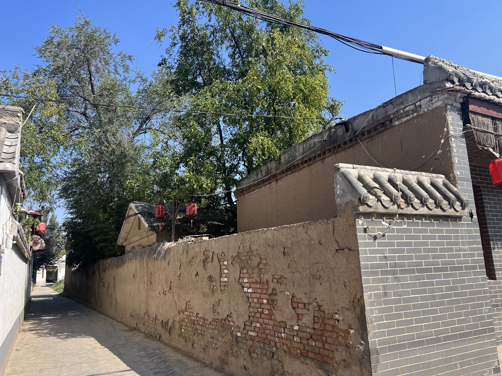邯郸市馆陶县粮画小镇旅游景区旅行图片 3
