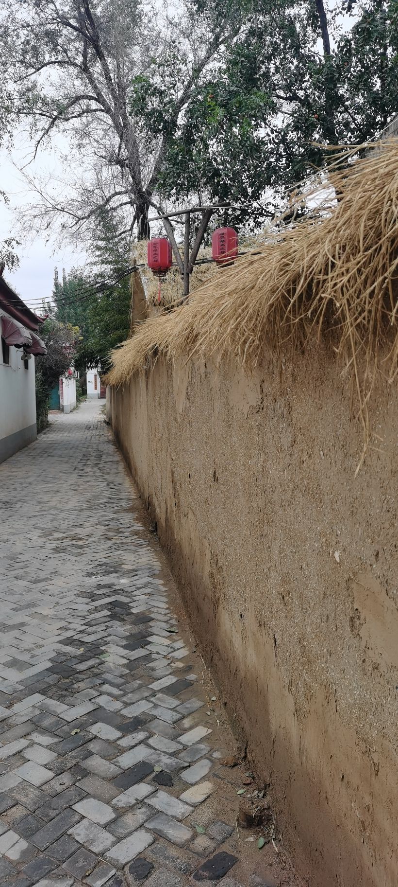 邯郸市馆陶县粮画小镇旅游景区旅行图片 2