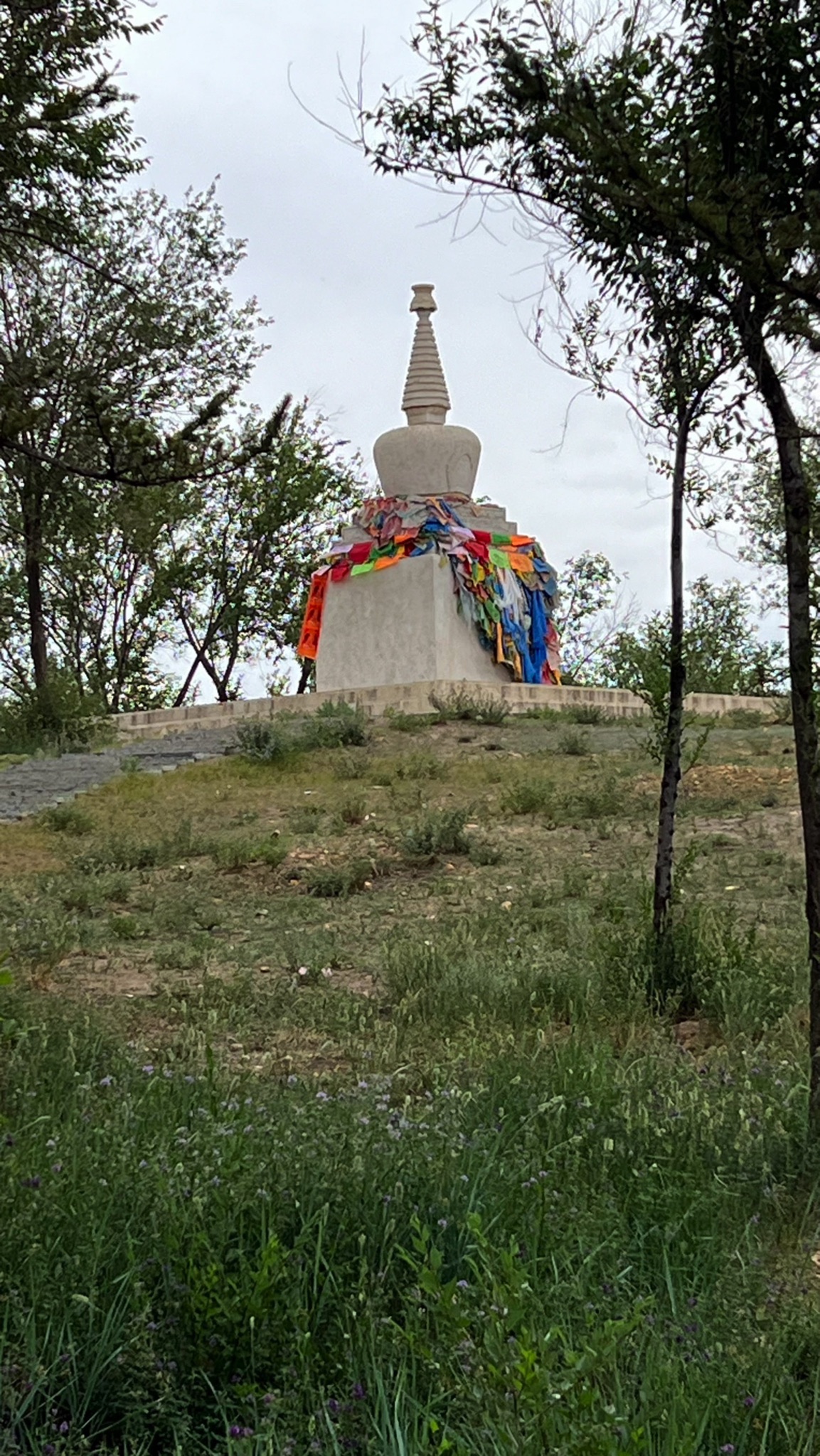额尔敦敖包公园旅行图片 2