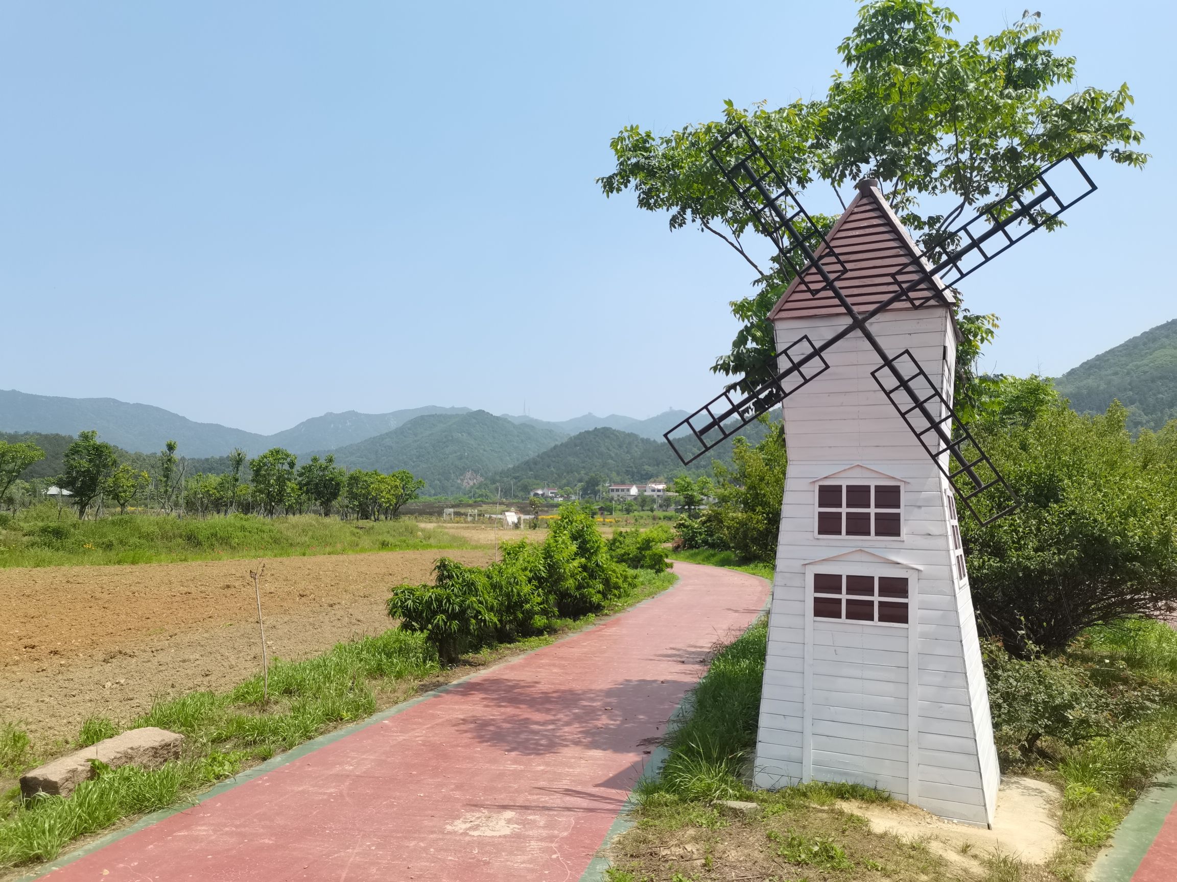 花溪茶谷景区旅行图片 1