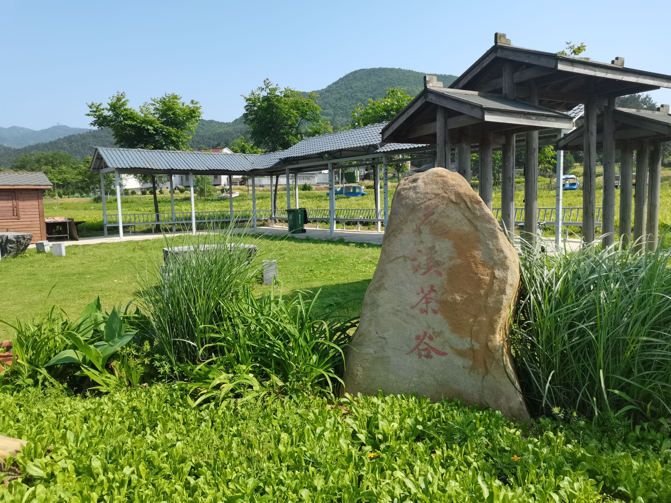 花溪茶谷景区旅行图片 3