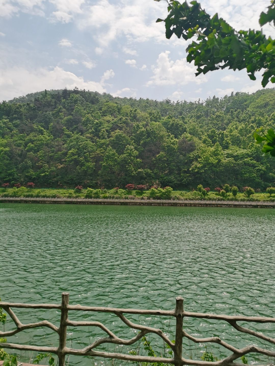 花溪茶谷景区旅行图片 3