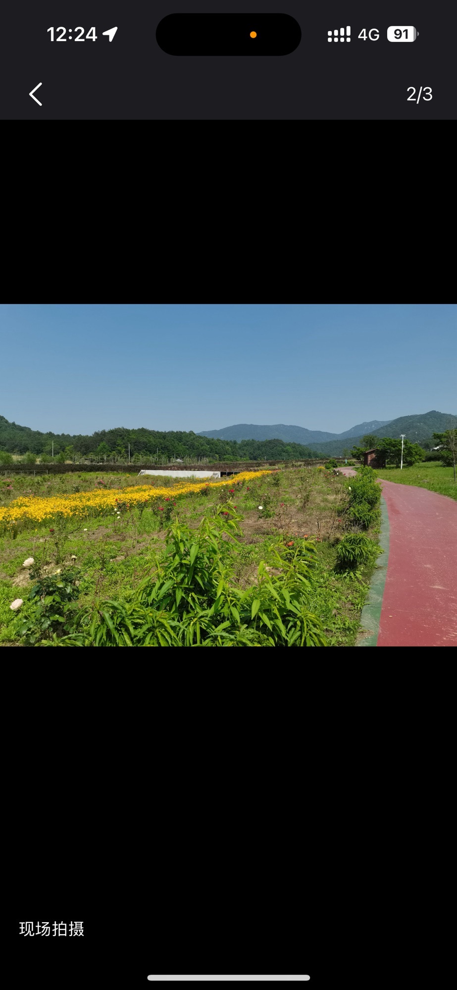 花溪茶谷景区旅行图片 1