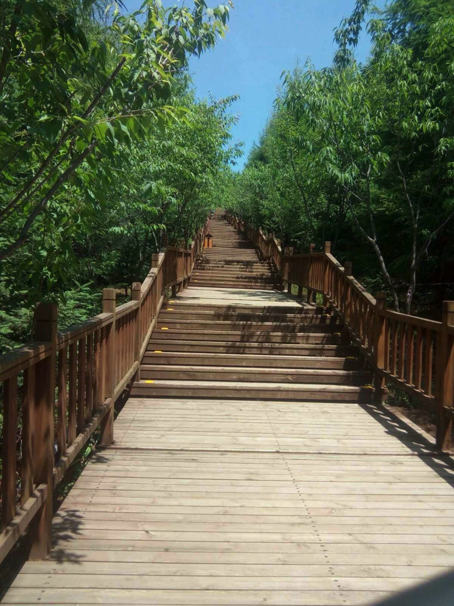 汪清县屏风山公园旅行图片 1