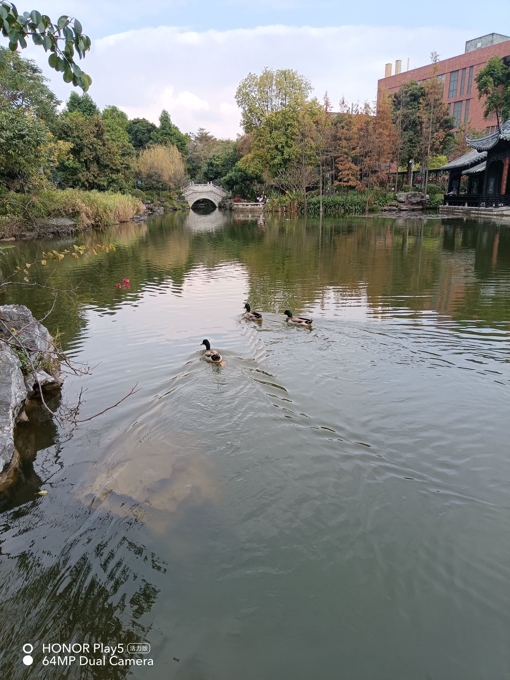 岭南和园旅行图片 3