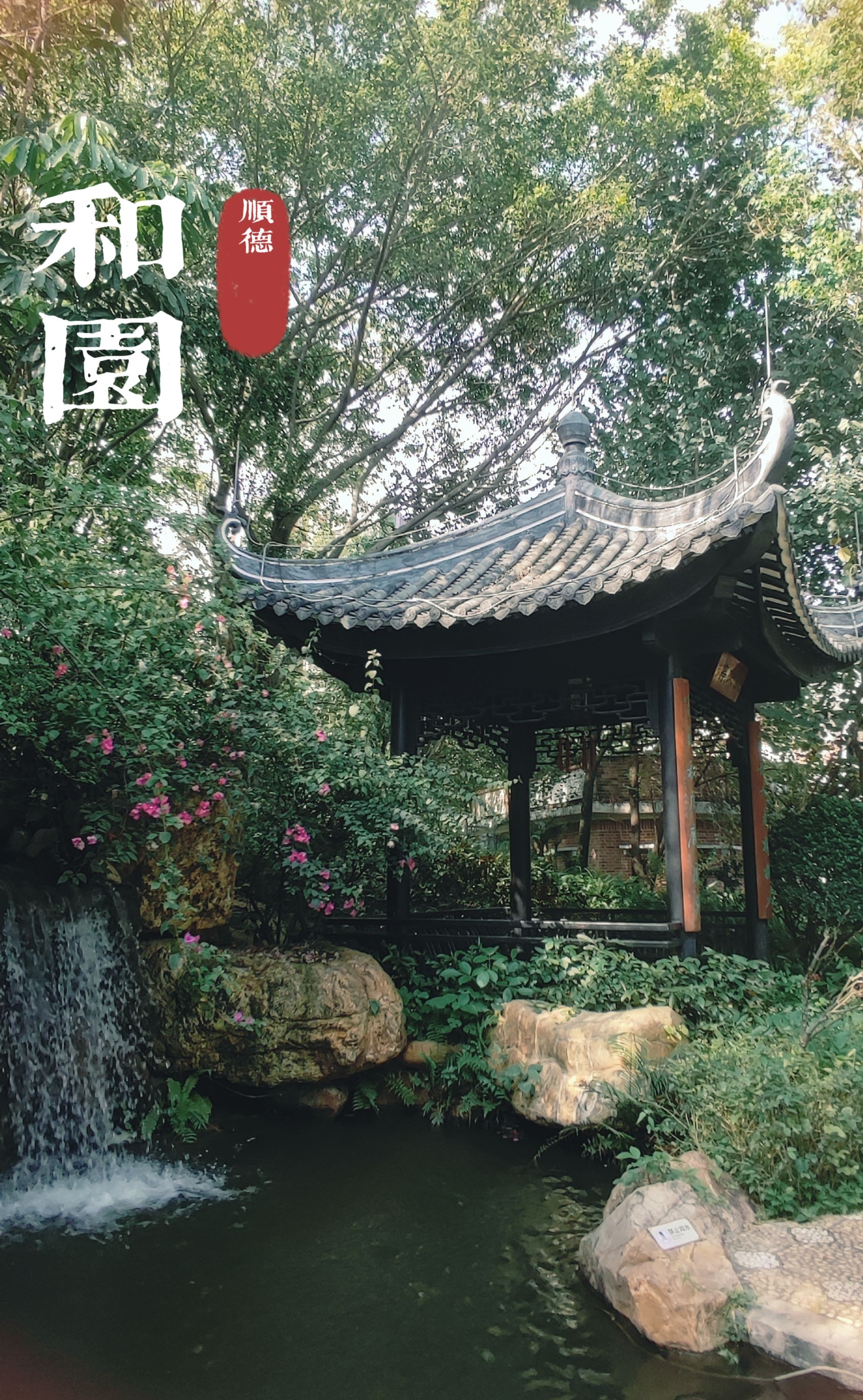 岭南和园旅行图片 3
