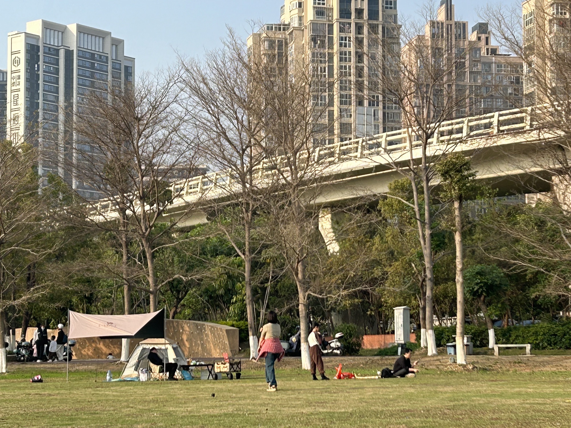 北滨江公园田安园旅行图片 2