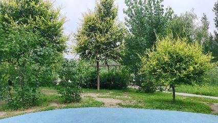 远洋风车谷湿地公园旅行图片 2