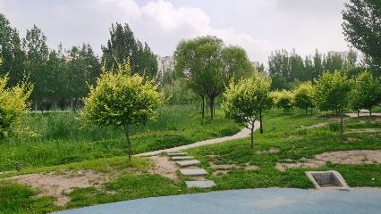 远洋风车谷湿地公园旅行图片 3
