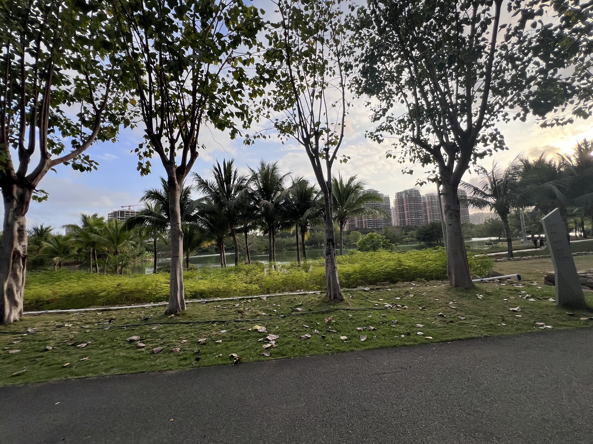 三亚东岸湿地公园旅行图片 1
