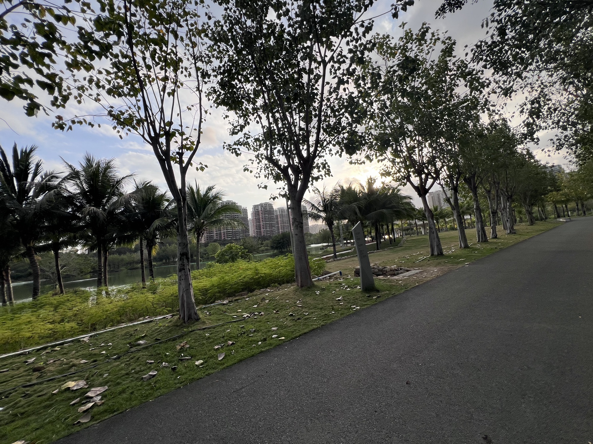 三亚东岸湿地公园旅行图片 3