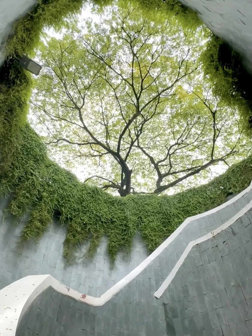 三亚东岸湿地公园旅行图片 1