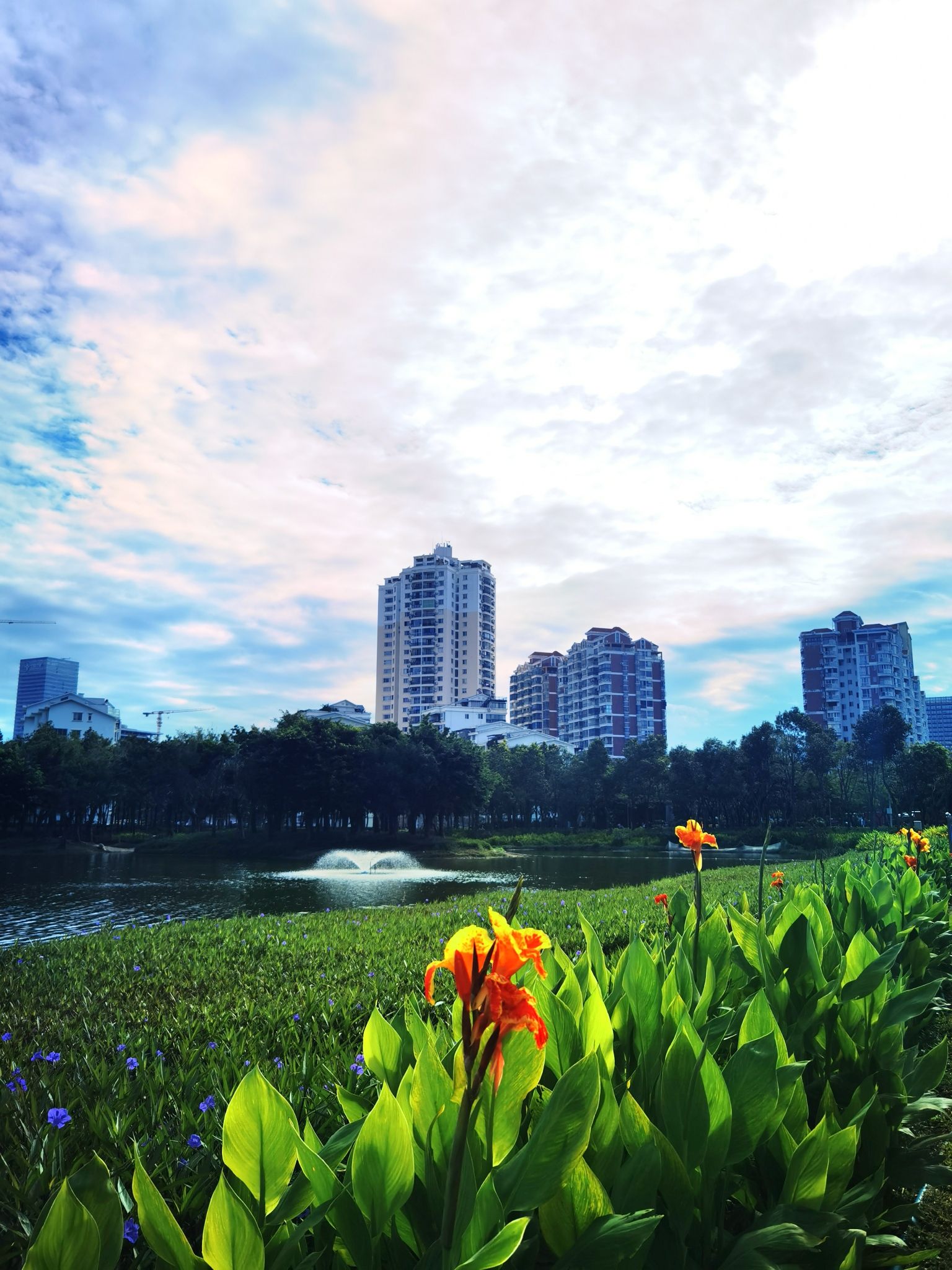 三亚东岸湿地公园旅行图片 3