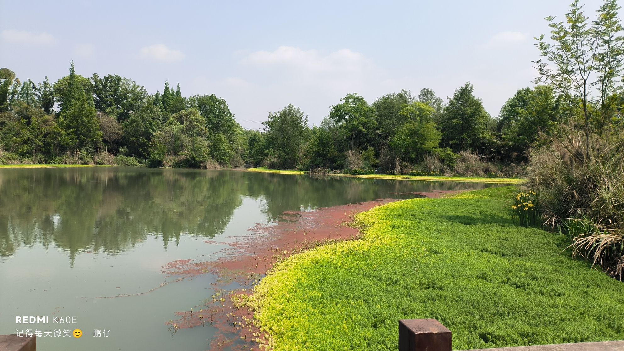 桤木河湿地公园旅行图片 3