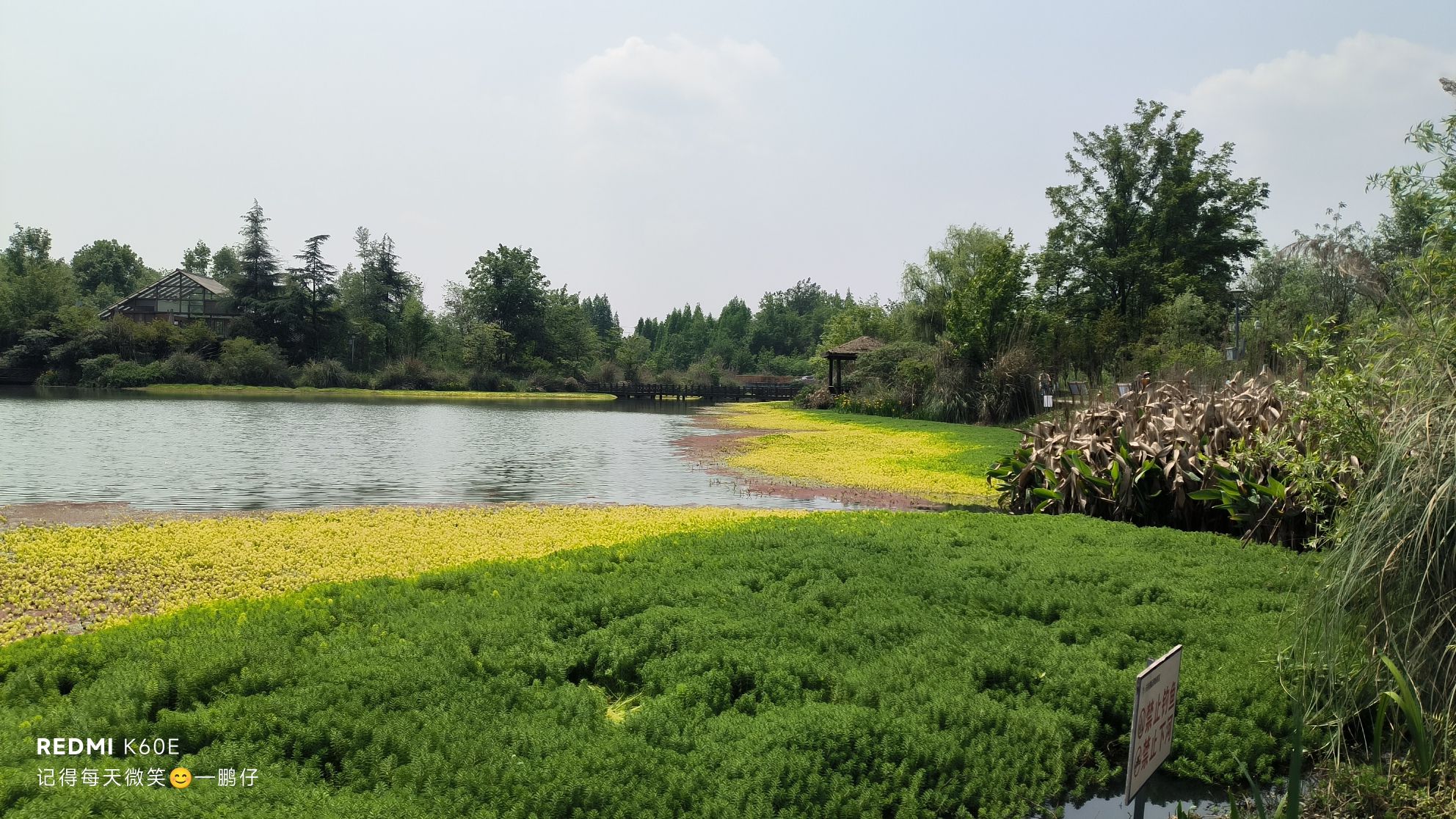 桤木河湿地公园旅行图片 2