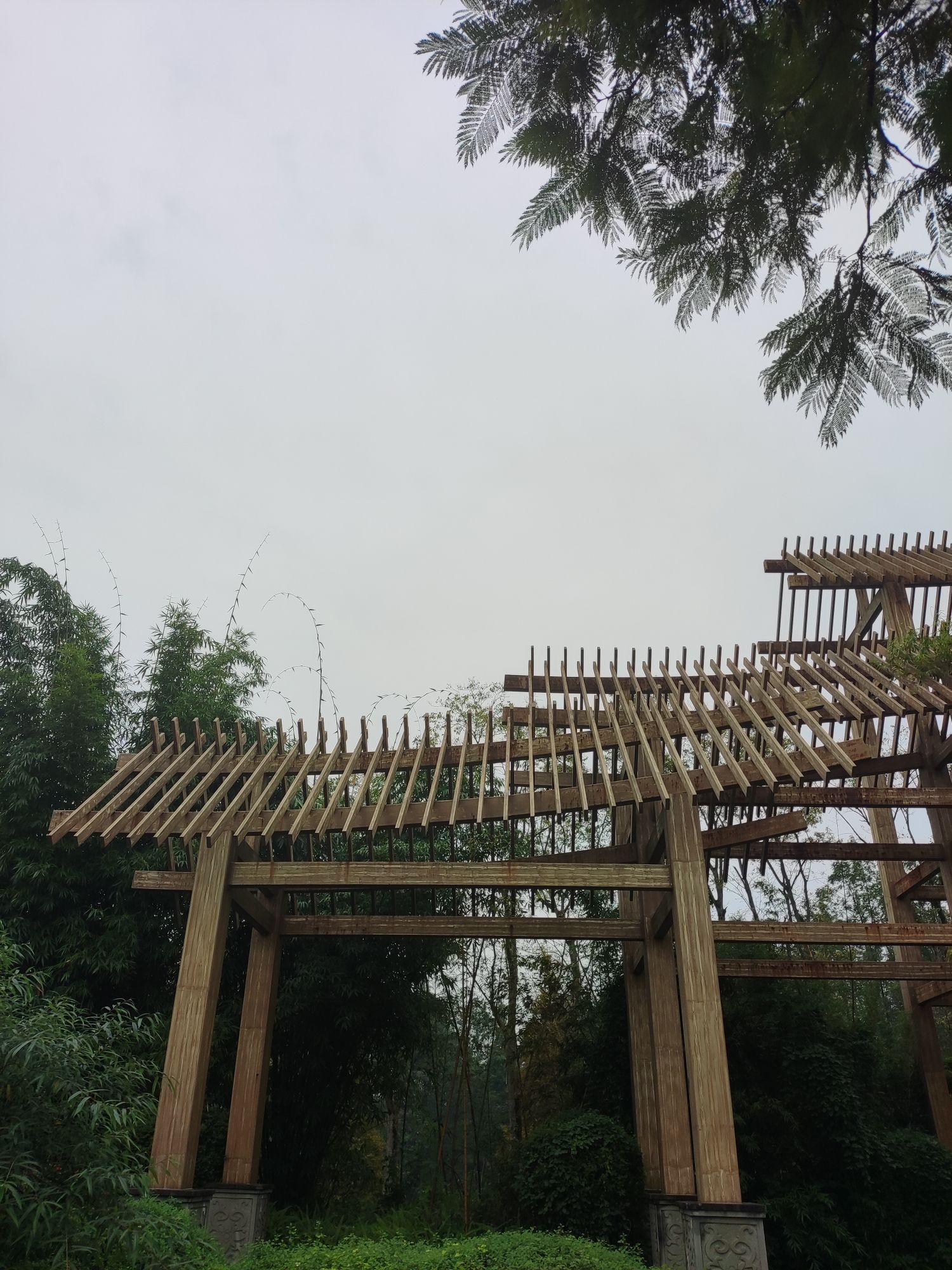 桤木河湿地公园旅行图片 1