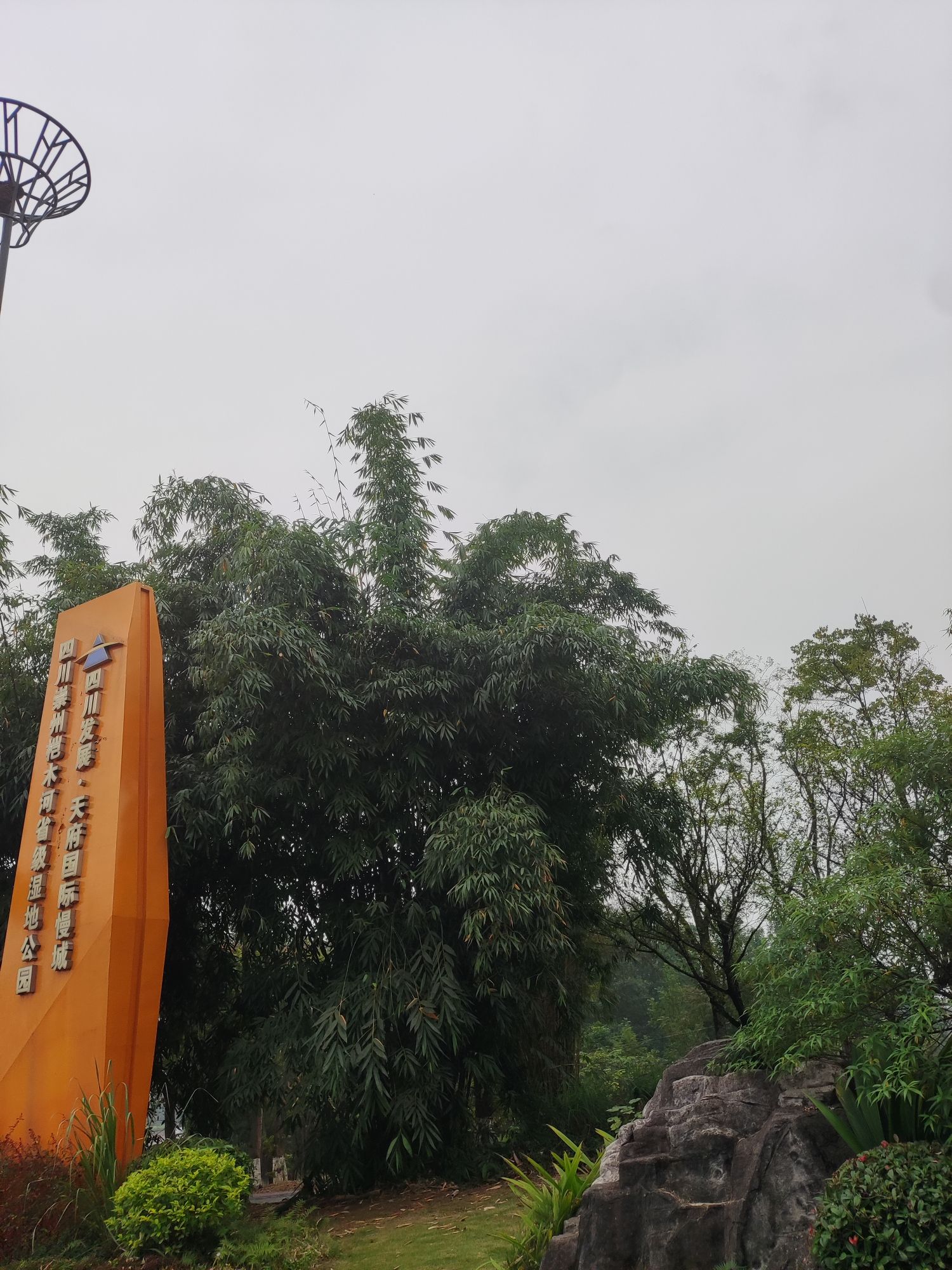 桤木河湿地公园旅行图片 2