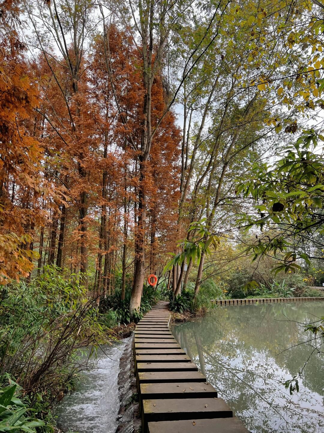 桤木河湿地公园旅行图片 3