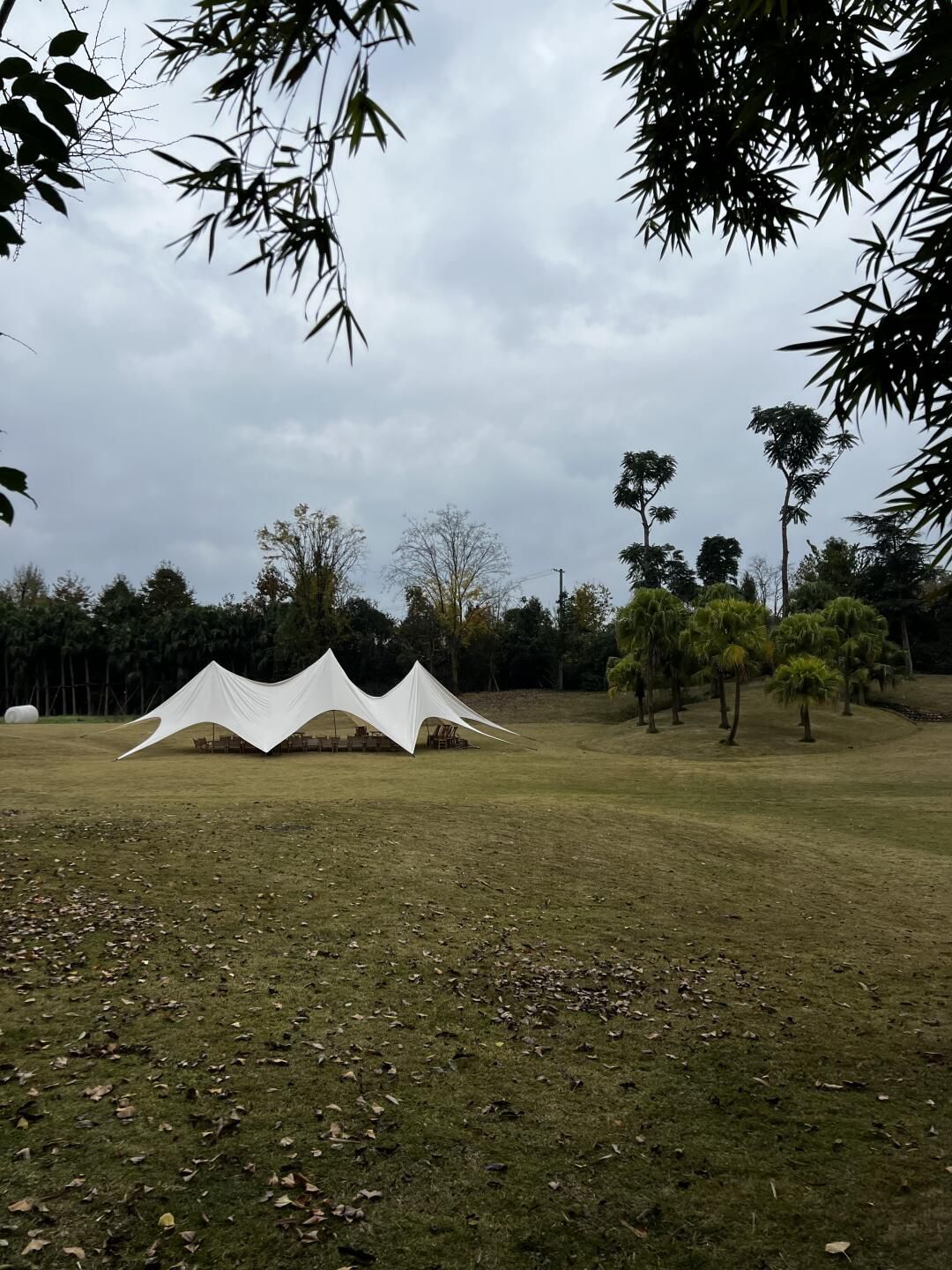桤木河湿地公园旅行图片 1