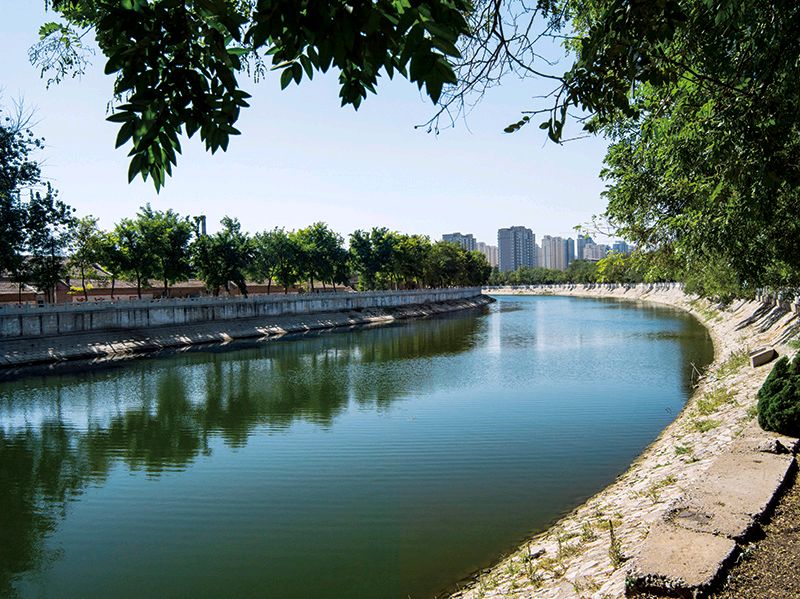 大运河森林生态园旅行图片 1