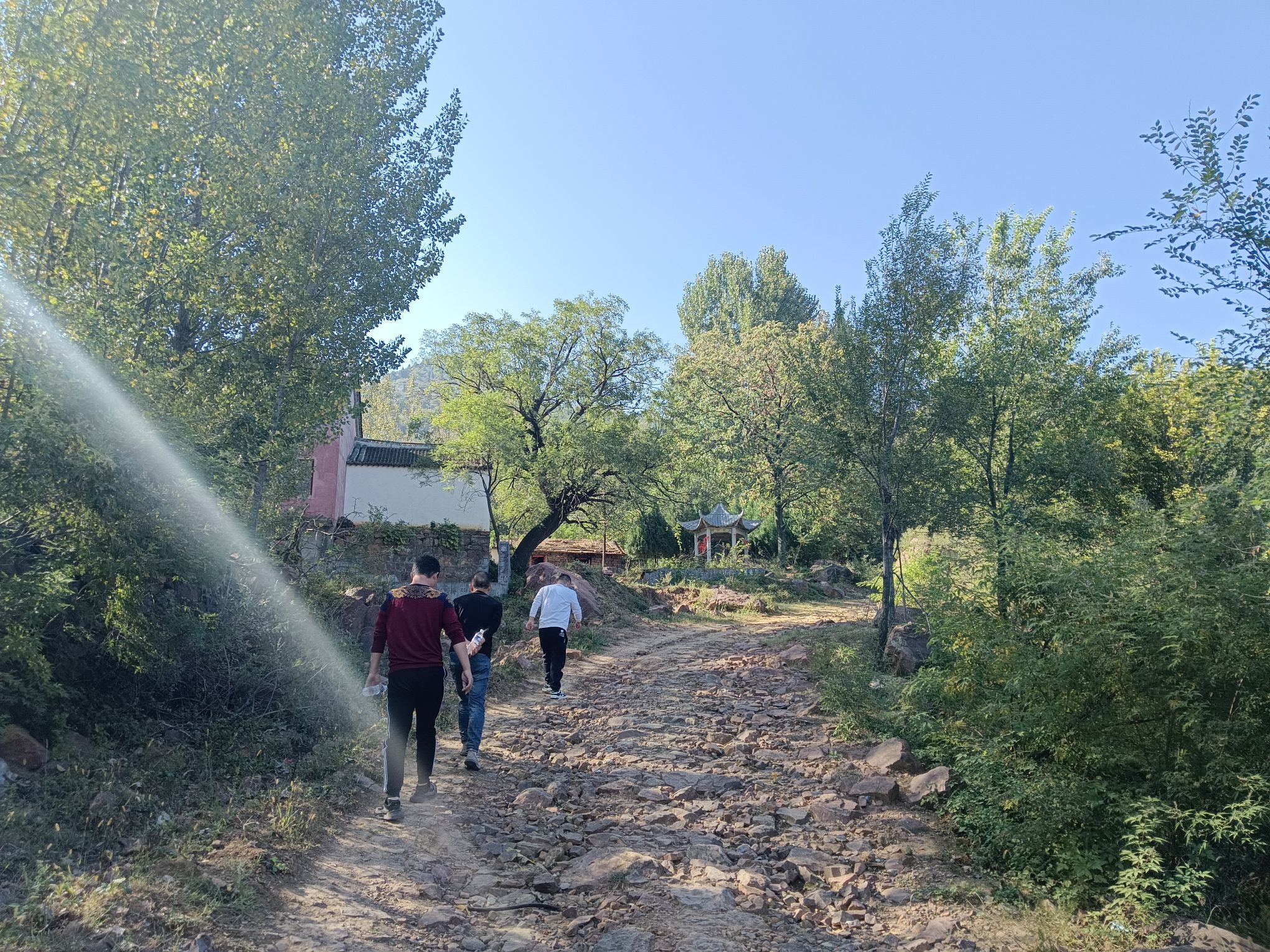 杨苗山景区旅行图片