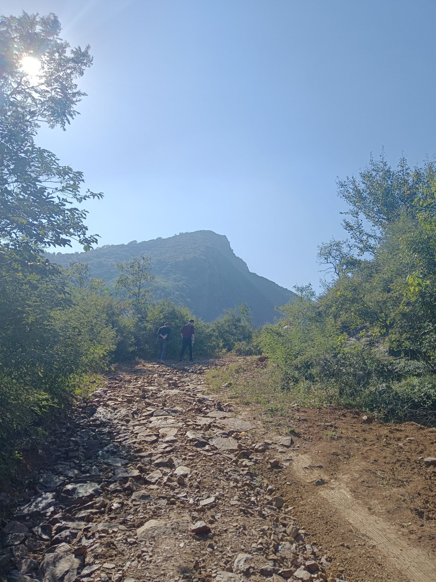 杨苗山景区旅行图片 2