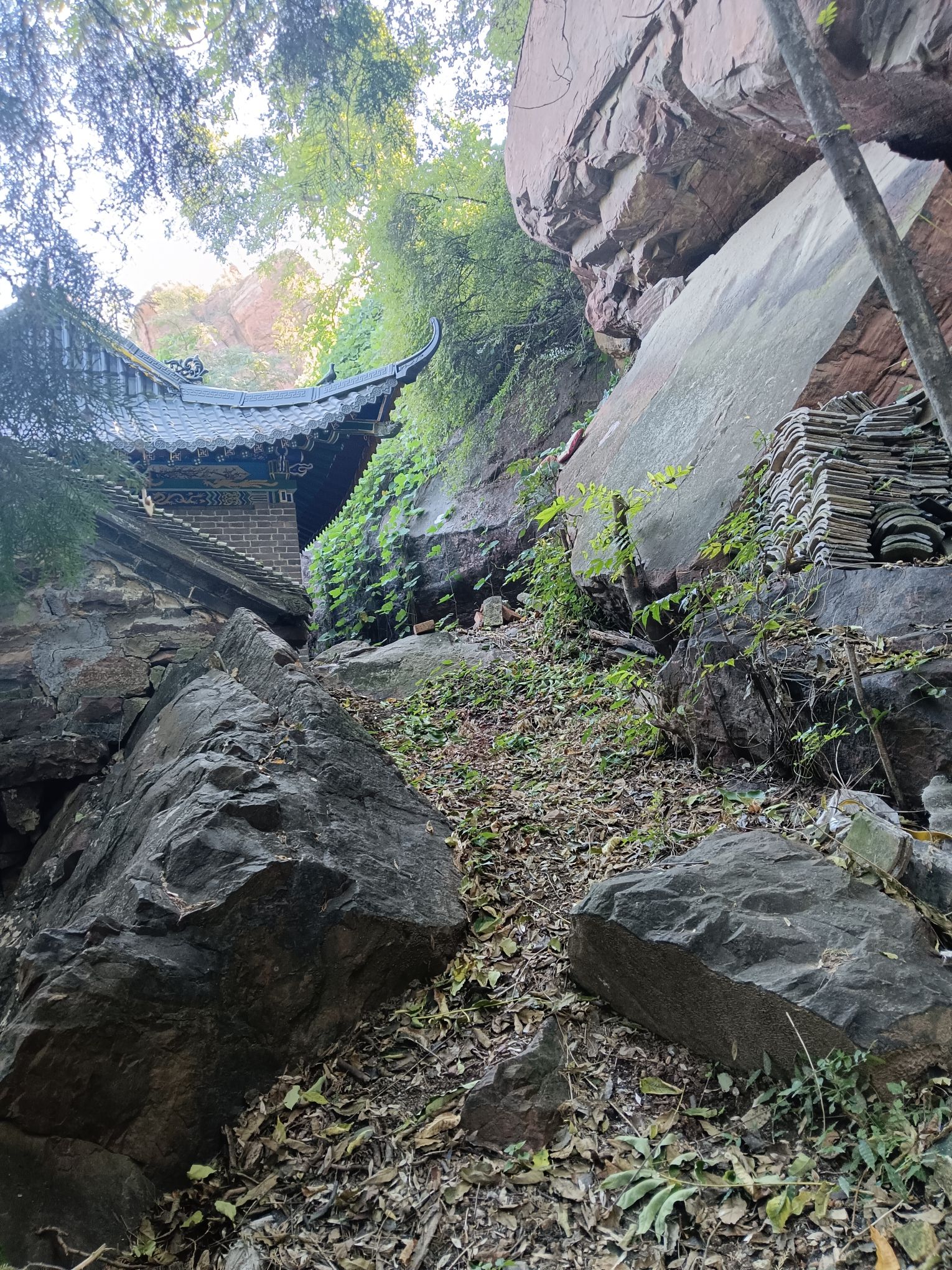 杨苗山景区旅行图片 3