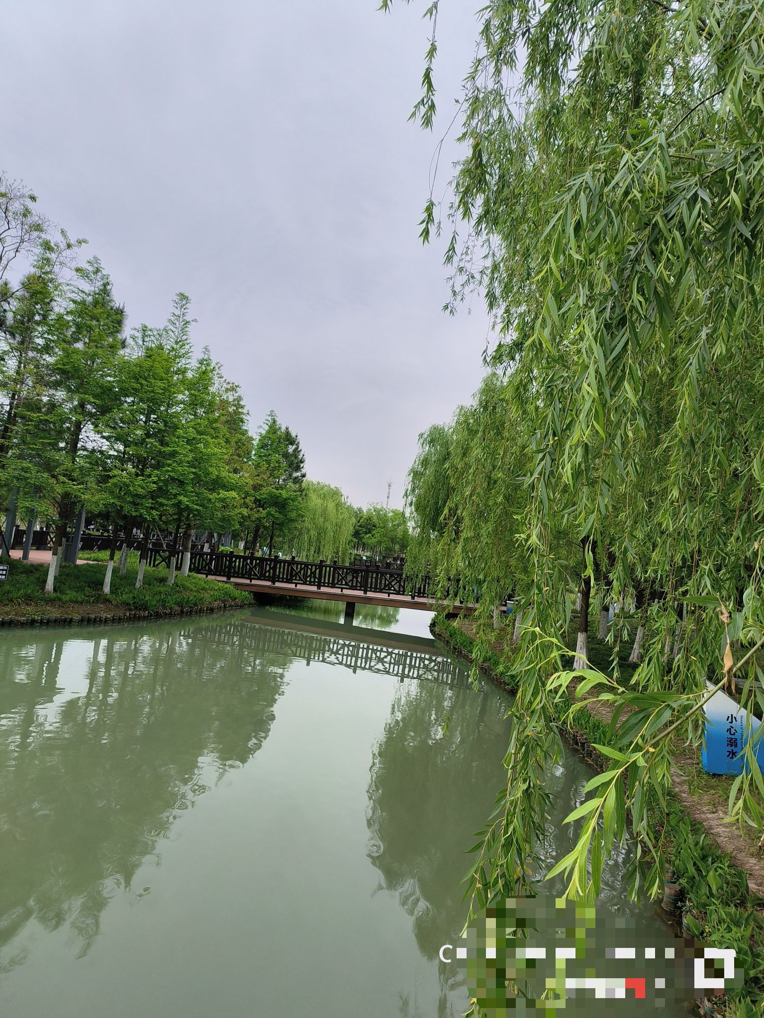 白洋河生态湿地公园旅行图片 2